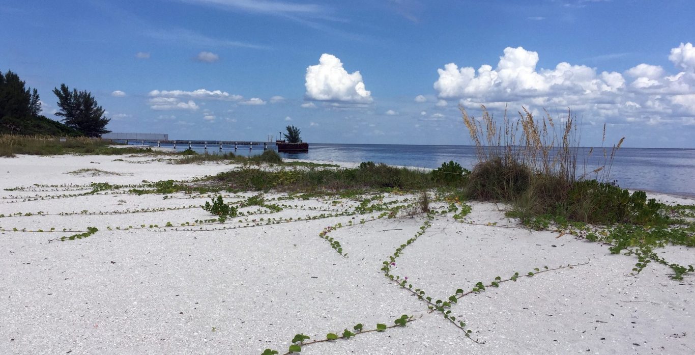 Gasparilla Island Boca Grande